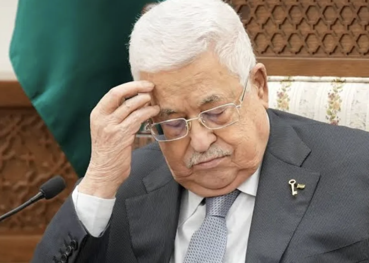 abbas